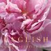 Profile Picture of English Rose Lifestyle (@EnglishRoseLifestyle) on Pinterest