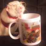 Profile Picture of Como a Bianca é incrível ❤️ (@fanpag_fernandah) on Instagram