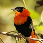 Profile Picture of Janet Ellis (@jellis50) on Flickr