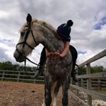 Profile Picture of 🐴Bracken🐴 (@holly.bracken.2006) on Instagram