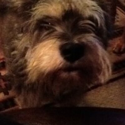 Profile Picture of DavidByars (@DavidByars) on Twitter