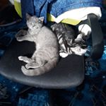 Profile Picture of David Kelbert (@kelbert.david) on Instagram