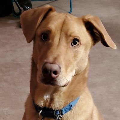 Profile Picture of Kim Henry Freeman (@KimHenryFreema1) on Twitter