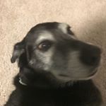 Profile Picture of Jackson Edinger (@jackedinger60) on Instagram