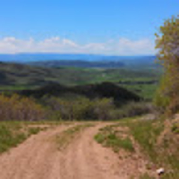 Profile Picture of Mary Ites (@mary_ites) on Poshmark