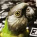 Profile Picture of Ronald Schenk (@ronald.schenk2) on Facebook