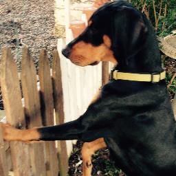 Michael E Holtzapple - Twitter Profile Picture of Michael E Holtzapple (@MEHoltzapple) on Twitter