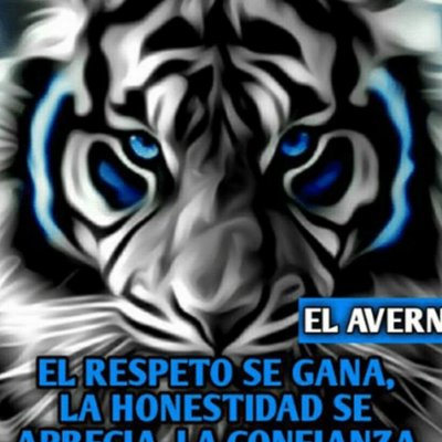 Profile Picture of Hussein Y Fares (@Husseinyfares1) on Twitter