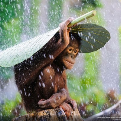 Profile Picture of CLAIRE FITZ-BEN (@ClaireFitzBen) on Twitter