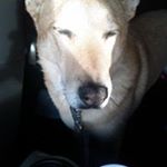 Profile Picture of David Nowicki (@zorachus) on Instagram
