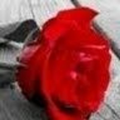 Profile Picture of Ramesh Ramakrishnan (@c9922ba45c904f0) on Twitter