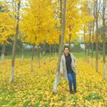 Profile Picture of Sophea Nhim (@sophea.nhim) on Instagram