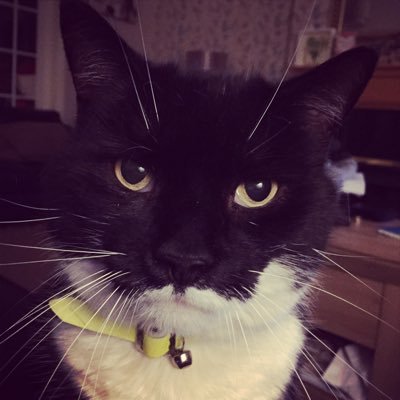 Profile Picture of Helen Gregory (@HMGregs) on Twitter