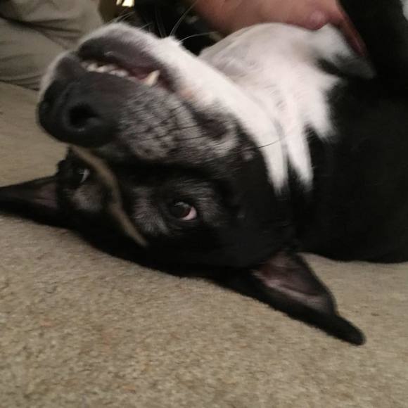 Profile Picture of Josh Neger (@j_951) on Poshmark