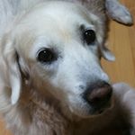 jasonguay - Instagram Profile Picture of jasonguay (@jasonisantisocial) on Instagram