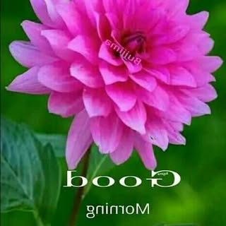 Profile Picture of Chris Derry (@chrisderry1) on Instagram