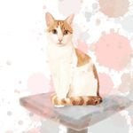 Profile Picture of Homer (@_kapice_) on Instagram