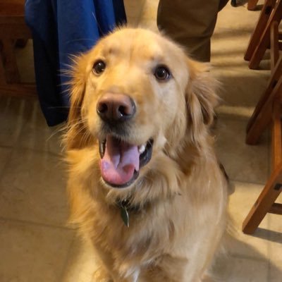 Profile Picture of Tyler Catlin (@T_Cup91) on Twitter