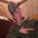 Profile Picture of Paul Witmer (@paulwitmer) on Pinterest