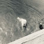 Profile Picture of ryan (@ryan.jaworski) on Instagram