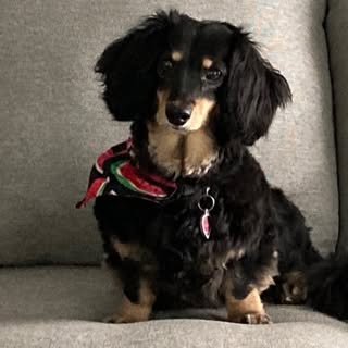 Profile Picture of WittL (@wittl) on Instagram