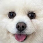 Profile Picture of 포항 속눈썹연장 속눈썹펌 어썸뷰티, 대표원장 🕊 (@sol.2__) on Instagram