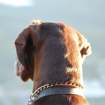 Profile Picture of Hans Gustav Engen (@nor02744) on Twitter