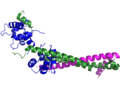 Profile Picture of Troponinon Wikipedia