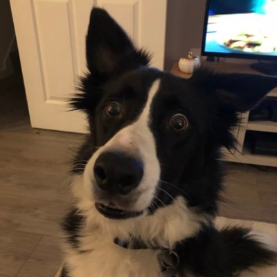 Profile Picture of Jamie Keeling (@Jamie_Keeling) on Twitter