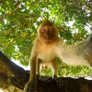 Profile Picture of Gleselle Imperial (@gleselleimperial) on Tiktok