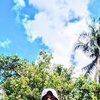 Profile Picture of mikecandelaria993 (@mikecandelaria993) on Tiktok