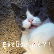 Profile Picture of Jeremy Liu (@jeremyliu5737) on Youtube