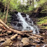 Frederick Jefferson - Instagram Profile Picture of Frederick Jefferson (@thegacenc) on Instagram