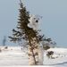 Profile Picture of EugeneLiu (@tso1196549) on Pinterest