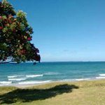 Profile Picture of Paul Dillon (@paul.dillon.77985) on Instagram