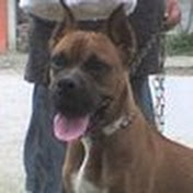 Profile Picture of Cesar Bermeo Armijos (@mariesvintimilla) on Youtube