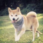 Profile Picture of Max Neff (@maxxy_man_21) on Instagram