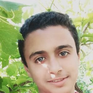 Profile Picture of Hesham Ali Kamal (@HeshamaliKamal3) on Twitter