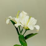 Rick Danny - Facebook Profile Picture of Rick Danny (@Rick-Danny) on Facebook