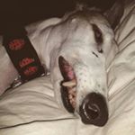 Profile Picture of richard_berrios22 (@richard_berrios22) on Instagram