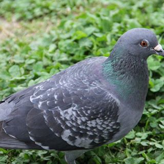 Ralph Alion - Facebook Profile Picture of Ralph Alion (@ralph.alion) on Facebook