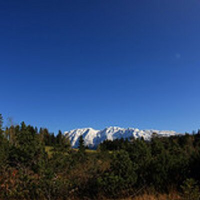 Profile Picture of Stephen Bulmer (@StephenBulmer) on Twitter