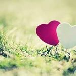 Profile Picture of Umbashar Zeidan (@umbasharzeidan) on Instagram