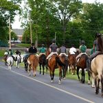 Profile Picture of Kieschnick Equestrian, LLC (@kieschnickeq) on Instagram