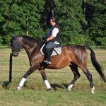 Profile Picture of Ricarda Sippelius (@ricardasippelius) on Instagram