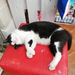 Profile Picture of Michele Rotolo (@michele.rotolo) on Instagram