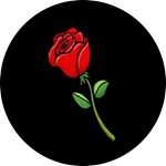 Profile Picture of Kyle (@kj.krier) on Instagram