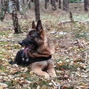 Profile Picture of Marc Leppa (@marc.leppa) on Tiktok