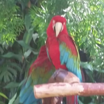 Profile Picture of Kevin Valade (@kvalade3) on Twitter