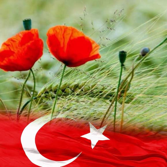 Profile Picture of Adnanneslihan Sarıaydın (@nesli412) on Poshmark